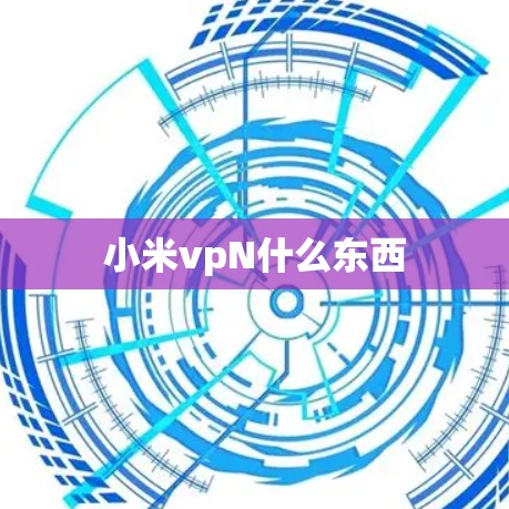 小米vpN什么东西 小米vpN什么东西