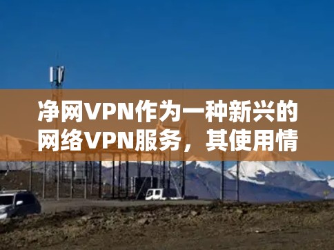 净网VPN作为一种新兴的网络VPN服务，其使用情况因服务类型而异。以下是对净网VPN的详细分析，帮助您做出明智的选择