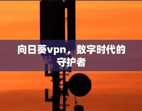 向日葵vpn，数字时代的守护者