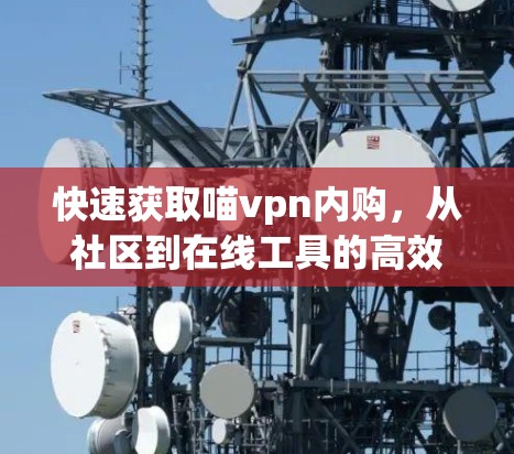 快速获取喵vpn内购,从社区到在线工具的高效策略 快速获取喵vpn内购,从社区到在线工具的高效策略