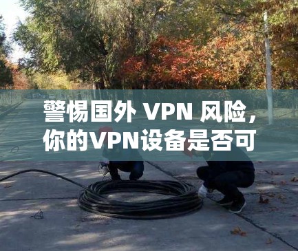 警惕国外 VPN 风险,你的VPN设备是否可靠? 警惕国外 VPN 风险,你的VPN设备是否可靠?