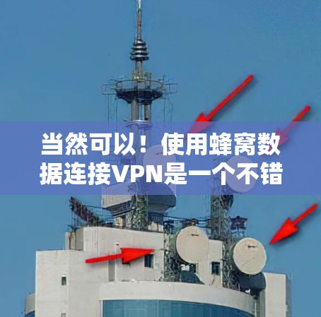 当然可以！使用蜂窝数据连接VPN是一个不错的选择，尤其是如果您的网络连接不稳定或有隐私担忧的话。以下是使用蜂窝数据连接VPN的步骤指南