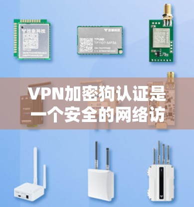 VPN加密狗认证是一个安全的网络访问方式，通过加密技术保护用户在网络环境下的隐私和数据安全。以下是关于加密狗认证的详细步骤和注意事项