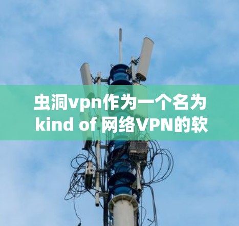 虫洞vpn作为一个名为 kind of 网络VPN的软件，其应用和效果因具体实现而异。以下是对虫洞vpn的一些关键点的总结