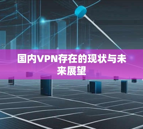 国内VPN存在的现状与未来展望 国内VPN存在的现状与未来展望