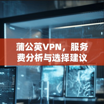 蒲公英VPN,服务费分析与选择建议 蒲公英VPN,服务费分析与选择建议
