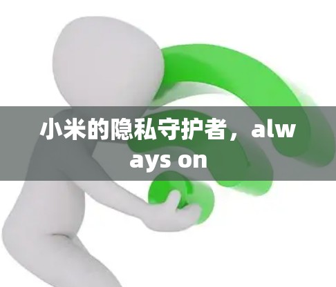 小米的隐私守护者,always on 小米的隐私守护者,always on