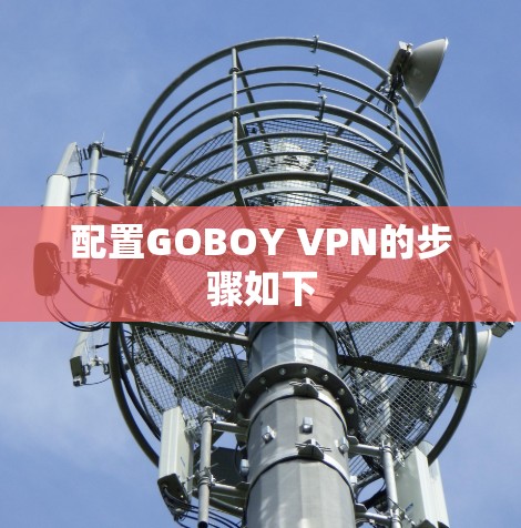配置GOBOY VPN的步骤如下