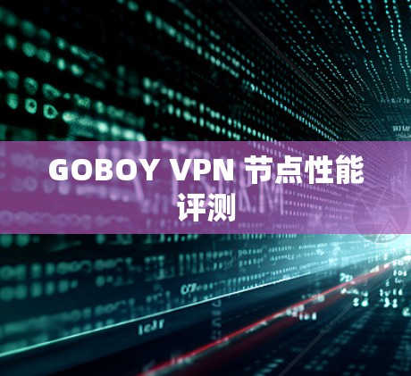 GOBOY VPN 节点性能评测