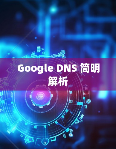 Google DNS 简明解析 Google DNS 简明解析