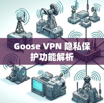 Goose VPN 隐私保护功能解析