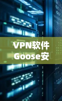 VPN软件Goose安装步骤详解 VPN软件Goose安装步骤详解