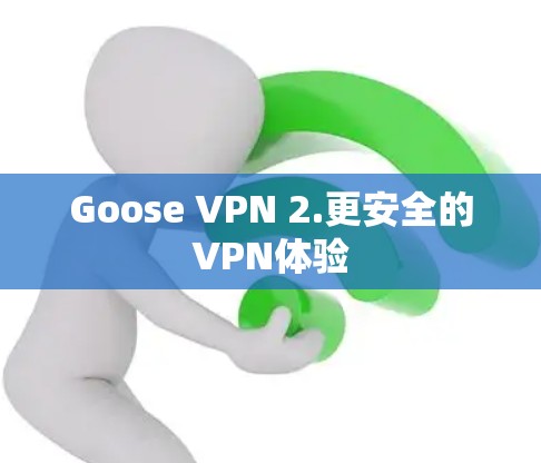 Goose VPN 2.更安全的VPN体验 Goose VPN 2.更安全的VPN体验