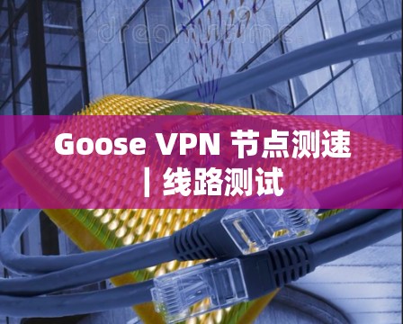 Goose VPN 节点测速｜线路测试