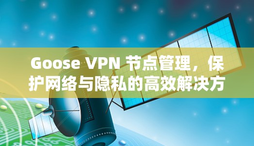 Goose VPN 节点管理，保护网络与隐私的高效解决方案