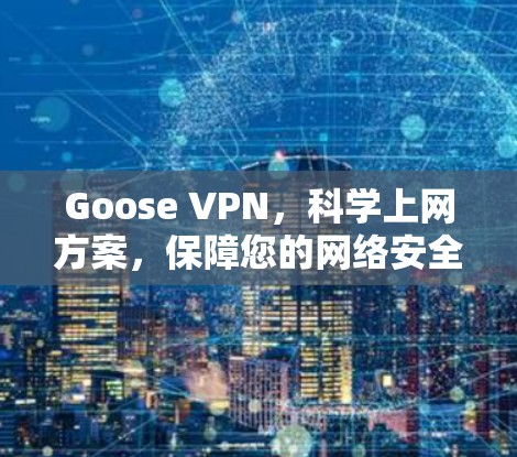 Goose VPN，科学上网方案，保障您的网络安全