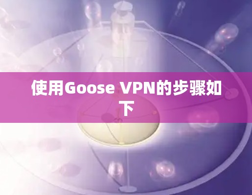 使用Goose VPN的步骤如下 使用Goose VPN的步骤如下