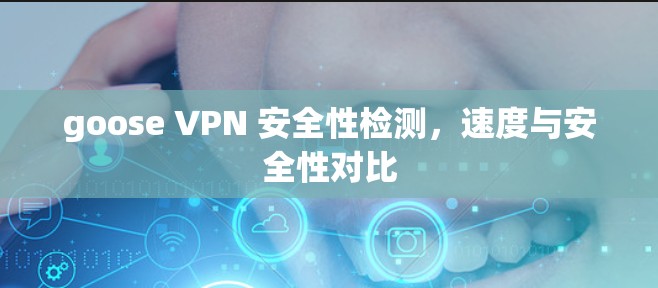 goose VPN 安全性检测，速度与安全性对比