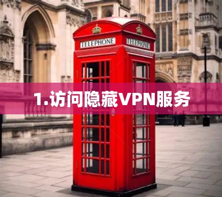 1.访问隐藏VPN服务