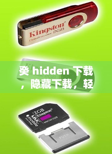 癸 hidden 下载,隐藏下载,轻松享受隐私 癸 hidden 下载,隐藏下载,轻松享受隐私