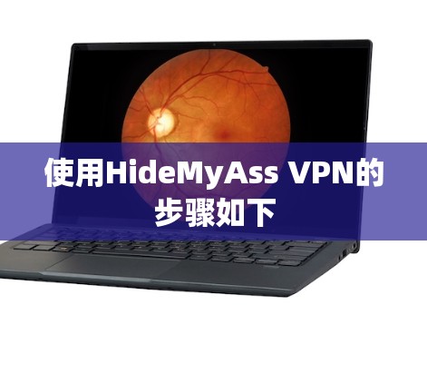 使用HideMyAss VPN的步骤如下 使用HideMyAss VPN的步骤如下