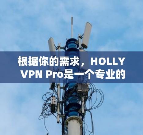 根据你的需求,HOLLY VPN Pro是一个专业的VPN工具,适合有一定经验的用户。以下是对它的详细介绍和推荐 根据你的需求,HOLLY VPN Pro是一个专业的VPN工具,适合有一定经验的用户。以下是对它的详细介绍和推荐