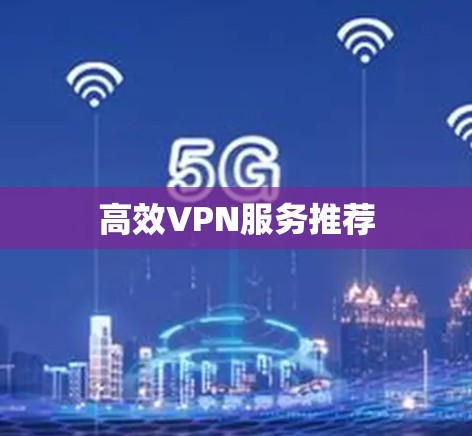 高效VPN服务推荐