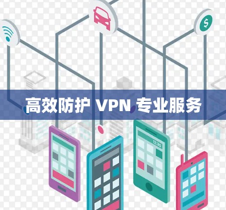 高效防护 VPN 专业服务 高效防护 VPN 专业服务