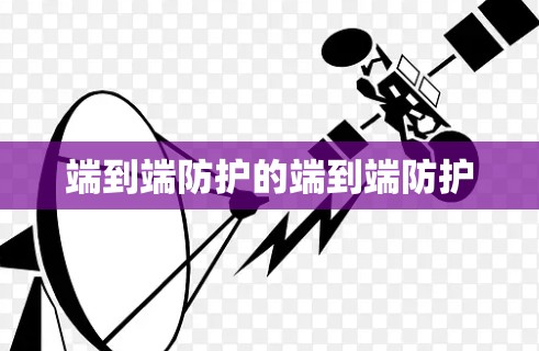 端到端防护的端到端防护 端到端防护的端到端防护