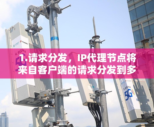 1.请求分发，IP代理节点将来自客户端的请求分发到多个本地服务器，以提高网络资源利用率