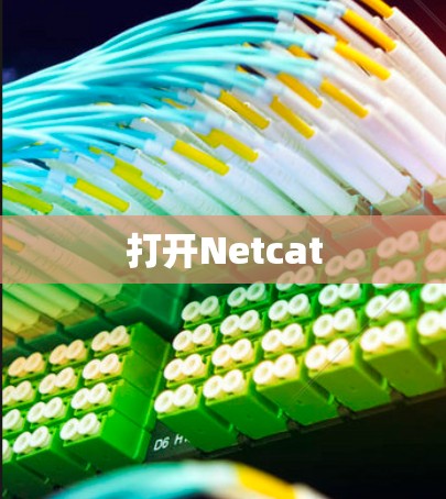 打开Netcat 打开Netcat