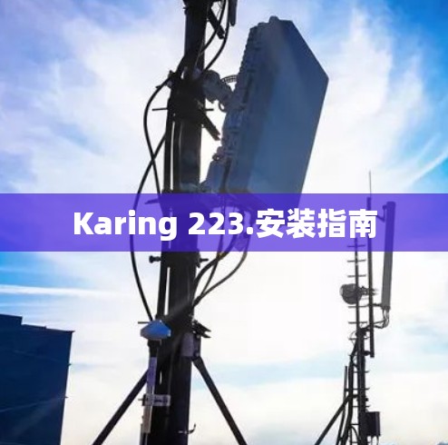 Karing 223.安装指南