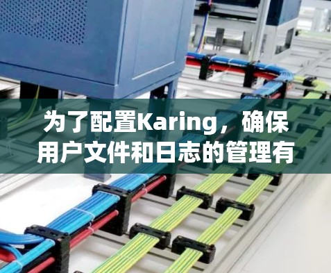 为了配置Karing，确保用户文件和日志的管理有效，您可以按照以下步骤进行