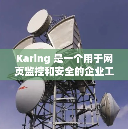 Karing 是一个用于网页监控和安全的企业工具，主要功能包括访问频率分析、时间范围分析、IP地址分析、访问状态分析、日志分析以及入侵检测。以下是对 Karing 的详细说明