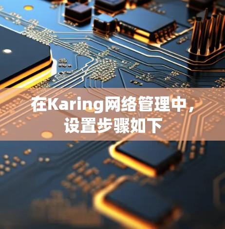 在Karing网络管理中,设置步骤如下 在Karing网络管理中,设置步骤如下