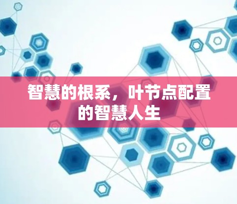 智慧的根系,叶节点配置的智慧人生 智慧的根系,叶节点配置的智慧人生