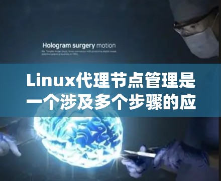 Linux代理节点管理是一个涉及多个步骤的应用过程，旨在通过虚拟环境模拟实际的代理节点，帮助测试和部署系统。以下是详细的步骤和方法