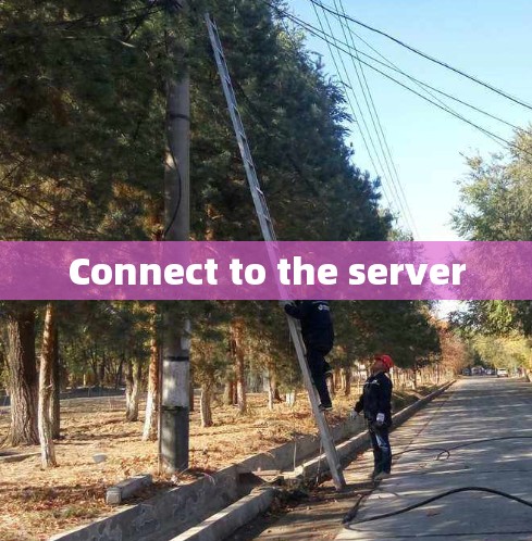 Connect to the server