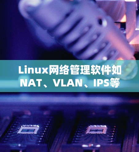 Linux网络管理软件如NAT、VLAN、IPS等,用于管理网络设备和内部网络。以下是详细的使用指南 Linux网络管理软件如NAT、VLAN、IPS等,用于管理网络设备和内部网络。以下是详细的使用指南
