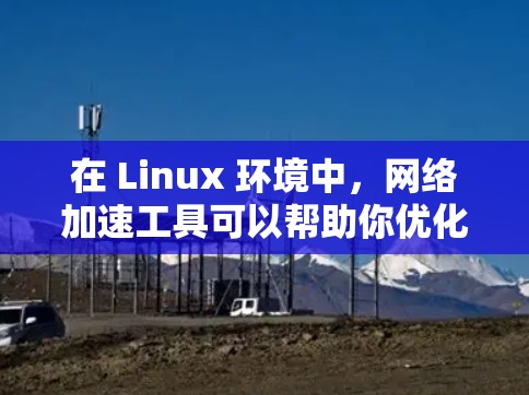 在 Linux 环境中,网络加速工具可以帮助你优化网络性能,处理大量流量,以及管理网络流量。以下是一些常见的 Linux 网络加速工具,以及它们的使用方法和适用场景 在 Linux 环境中,网络加速工具可以帮助你优化网络性能,处理大量流量,以及管理网络流量。以下是一些常见的 Linux 网络加速工具,以及它们的使用方法和适用场景