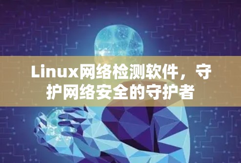 Linux网络检测软件,守护网络安全的守护者 Linux网络检测软件,守护网络安全的守护者