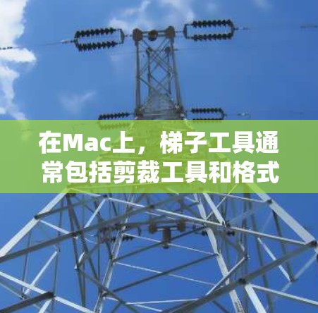 在Mac上，梯子工具通常包括剪裁工具和格式转换工具，以下是它们的详细介绍