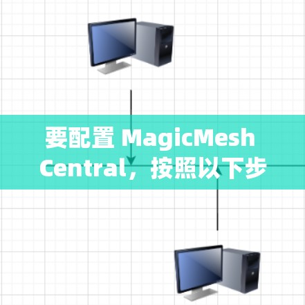 要配置 MagicMesh Central，按照以下步骤进行