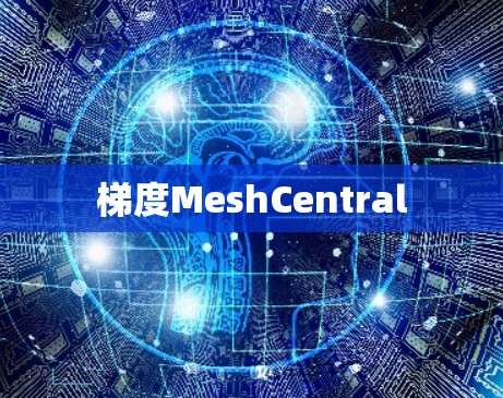 梯度MeshCentral 梯度MeshCentral