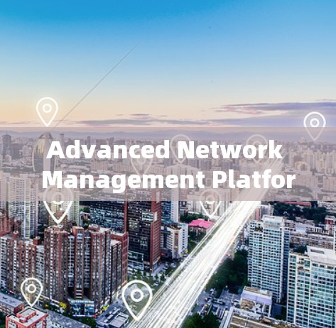 Advanced Network Management Platform:meshCentral for Distributed Systems