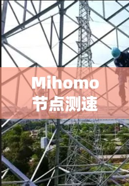 Mihomo节点测速可能是一个特定的测速技术或系统名称。在不同的上下文中，Mihomo节点通常指的是某种类型的节点或系统，而测速可能指的是测量或控制速度。以下是对这一概念的一些解释和可能的应用场景