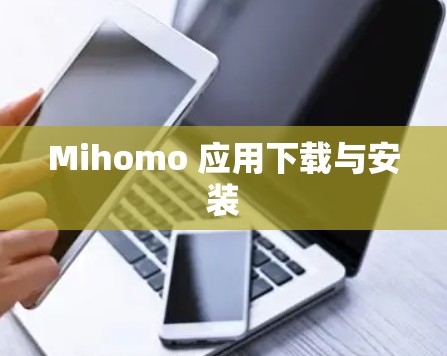 Mihomo 应用下载与安装