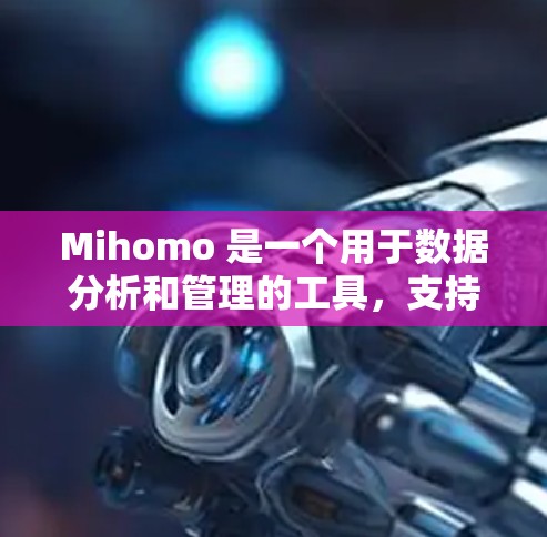Mihomo 是一个用于数据分析和管理的工具，支持数据可视化、报告生成和数据分析。以下是对 Mihomo 的详细说明
