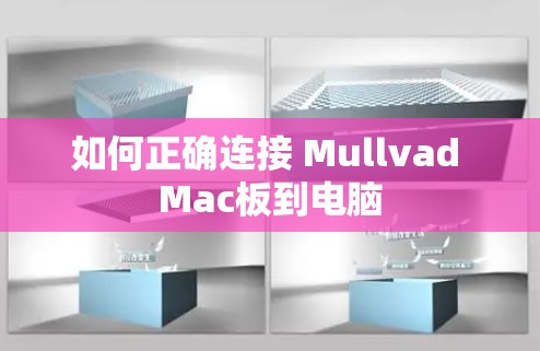 如何正确连接 Mullvad Mac板到电脑