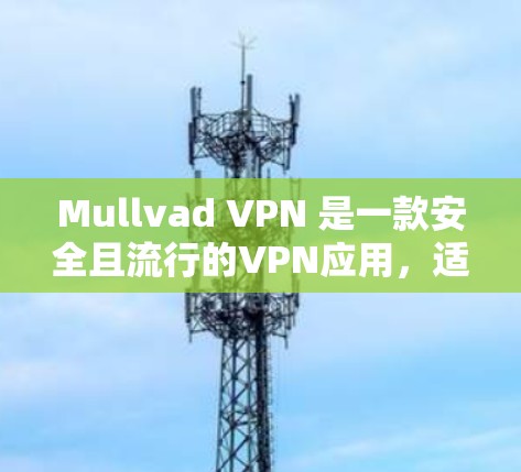 Mullvad VPN 是一款安全且流行的VPN应用，适合日常使用。以下是关于 Mullvad VPN 的详细介绍，帮助您更好地使用该应用
